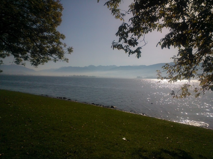 Zürichsee