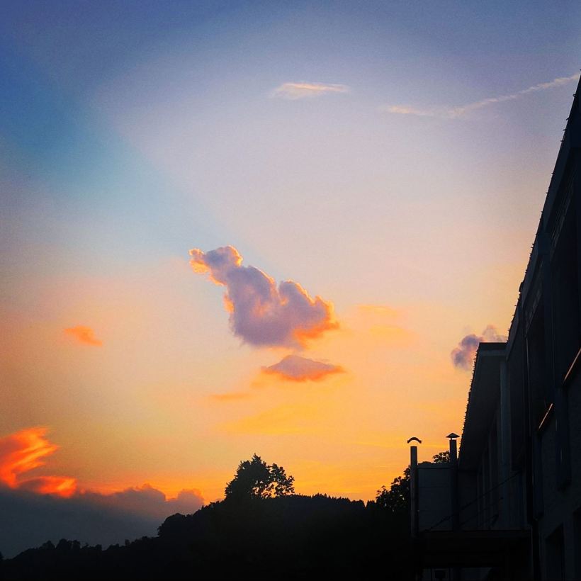 F04428D0-B354-4537-AEC4-43E7C7BB0C8F