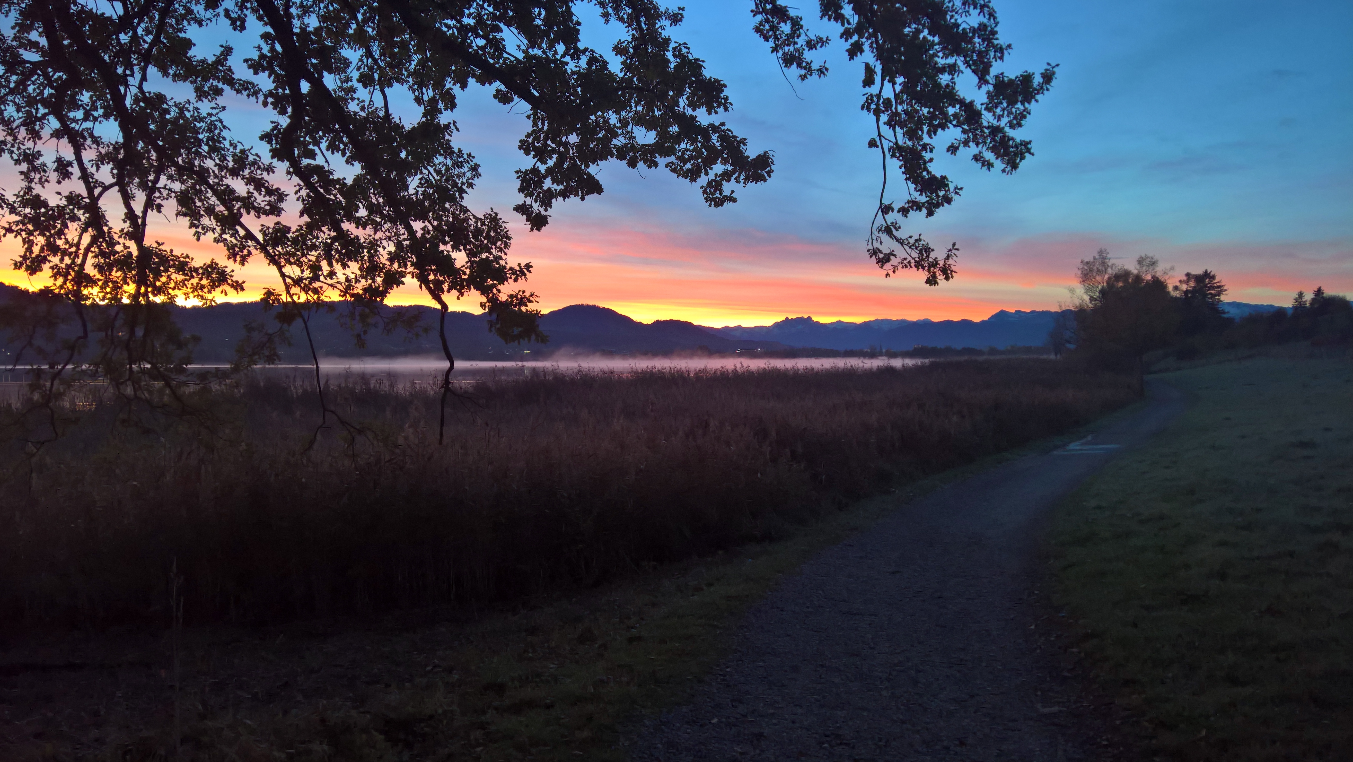 WP_20171026_07_39_08_Rich_LI