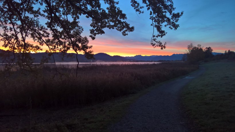 WP_20171026_07_39_08_Rich_LI