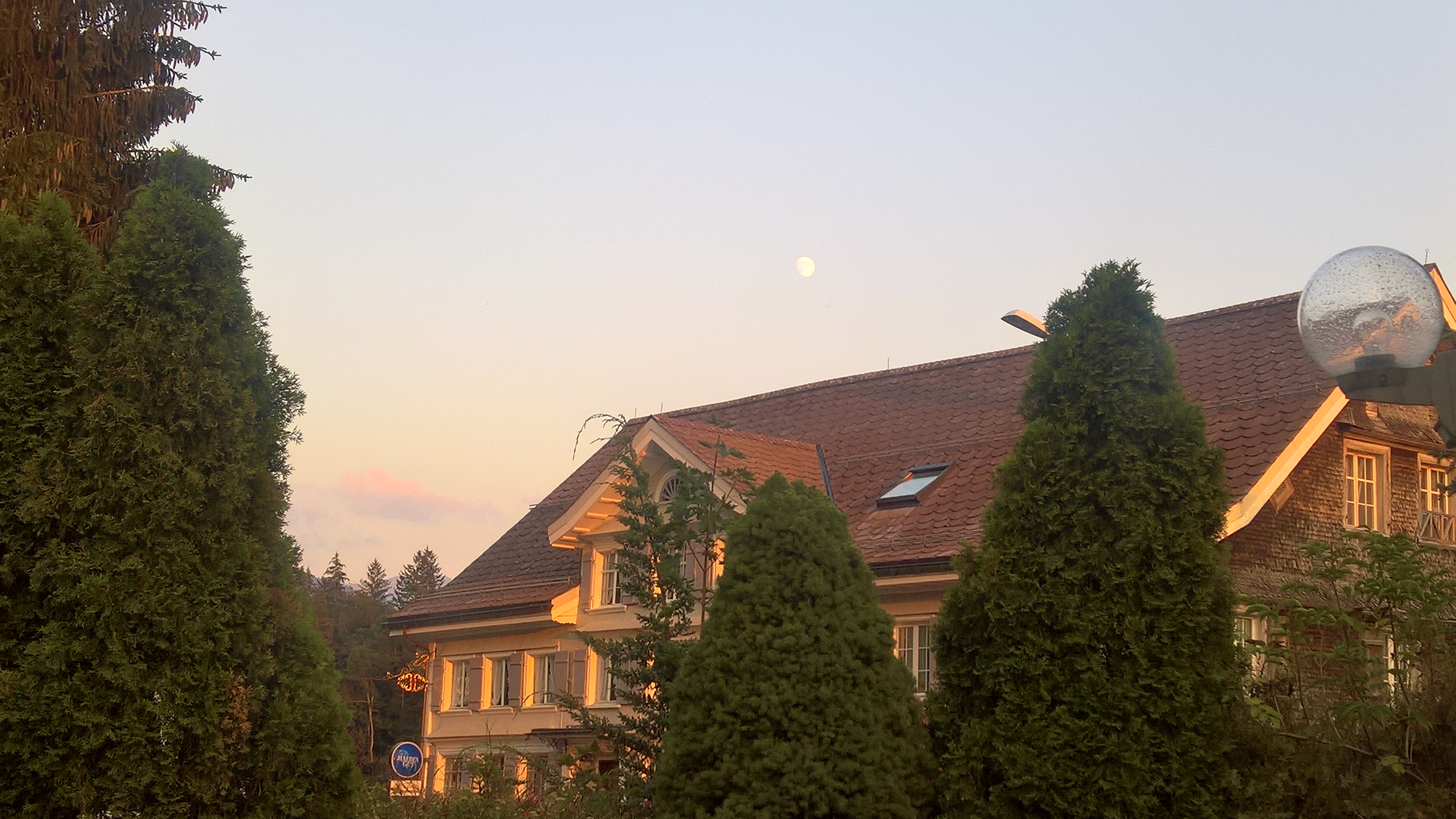 WP_20180724_20_40_20_Pro_LI