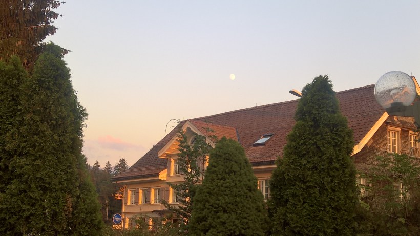 WP_20180724_20_40_20_Pro_LI