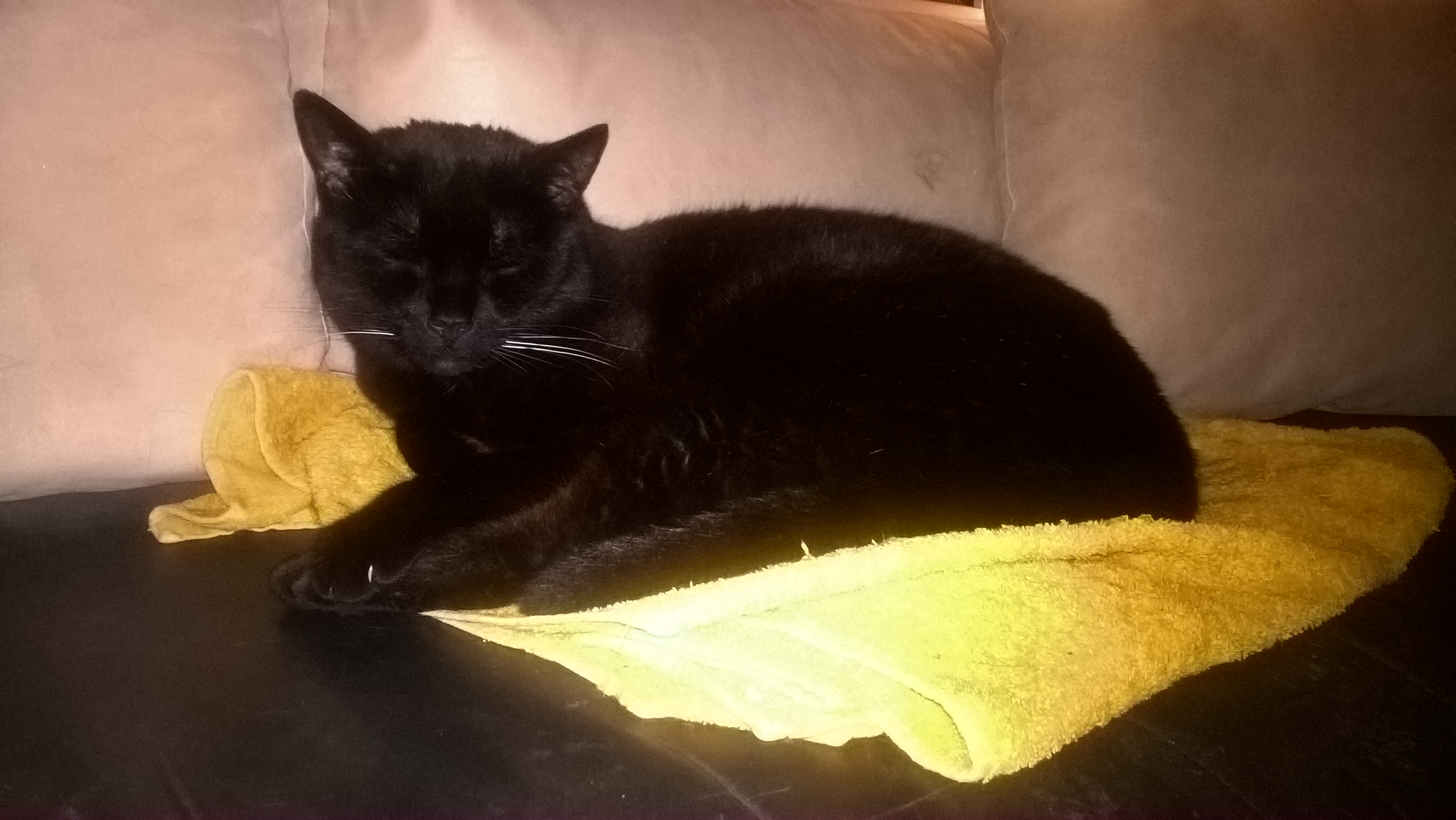 WP_20190603_22_41_52_Pro